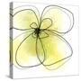 Summer Yellow Petals-Jan Weiss-Stretched Canvas