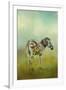 Summer Zebra 1-Jai Johnson-Framed Giclee Print