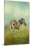 Summer Zebra 1-Jai Johnson-Mounted Giclee Print