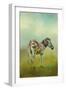 Summer Zebra 1-Jai Johnson-Framed Premium Giclee Print