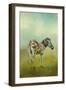 Summer Zebra 1-Jai Johnson-Framed Giclee Print