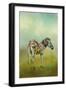 Summer Zebra 1-Jai Johnson-Framed Giclee Print