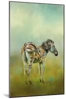 Summer Zebra 1-Jai Johnson-Mounted Giclee Print