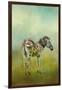 Summer Zebra 1-Jai Johnson-Framed Giclee Print