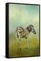 Summer Zebra 1-Jai Johnson-Framed Stretched Canvas