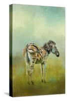 Summer Zebra 1-Jai Johnson-Stretched Canvas