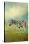 Summer Zebra 2-Jai Johnson-Stretched Canvas