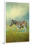 Summer Zebra 2-Jai Johnson-Framed Giclee Print