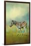 Summer Zebra 2-Jai Johnson-Framed Giclee Print