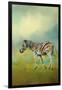 Summer Zebra 2-Jai Johnson-Framed Giclee Print