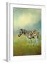 Summer Zebra 2-Jai Johnson-Framed Giclee Print