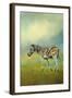 Summer Zebra 2-Jai Johnson-Framed Giclee Print