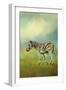 Summer Zebra 2-Jai Johnson-Framed Giclee Print