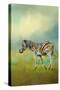 Summer Zebra 2-Jai Johnson-Stretched Canvas