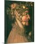 Summer-Giuseppe Arcimboldo-Mounted Premium Giclee Print