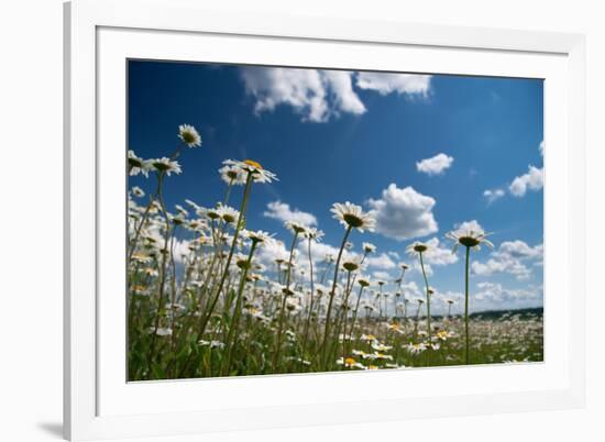 Summer-Yanika-Framed Photographic Print