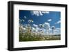 Summer-Yanika-Framed Photographic Print