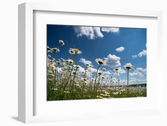 Summer-Yanika-Framed Photographic Print