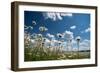 Summer-Yanika-Framed Photographic Print