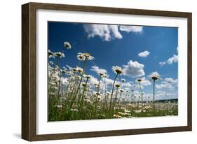 Summer-Yanika-Framed Photographic Print