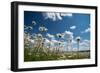 Summer-Yanika-Framed Photographic Print