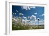 Summer-Yanika-Framed Photographic Print