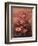 Summer-Giuseppe Arcimboldo-Framed Giclee Print