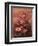 Summer-Giuseppe Arcimboldo-Framed Giclee Print