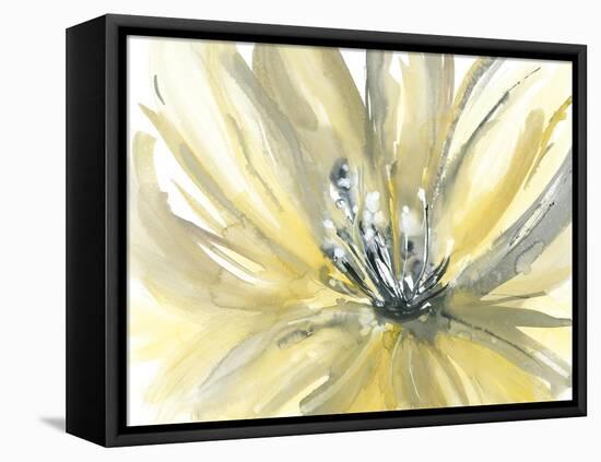 Summer-Rebecca Meyers-Framed Stretched Canvas