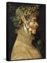 Summer-Giuseppe Arcimboldo-Framed Stretched Canvas