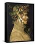 Summer-Giuseppe Arcimboldo-Framed Stretched Canvas