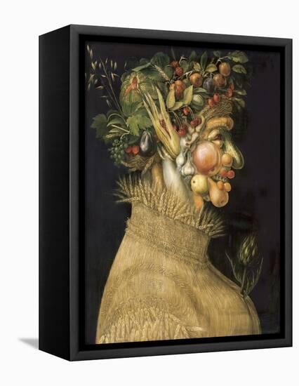 Summer-Giuseppe Arcimboldo-Framed Stretched Canvas