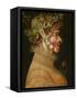 Summer-Giuseppe Arcimboldo-Framed Stretched Canvas