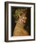 Summer-Giuseppe Arcimboldo-Framed Art Print