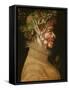 Summer-Giuseppe Arcimboldo-Framed Stretched Canvas