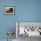 Summer-Jan van Kessel-Framed Giclee Print displayed on a wall