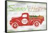 Summer-ALI Chris-Framed Stretched Canvas