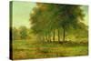 Summer-George Snr. Inness-Stretched Canvas