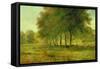 Summer-George Snr. Inness-Framed Stretched Canvas
