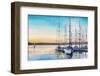 Summer-DeepGreen-Framed Photographic Print