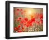 Summer-Marco Carmassi-Framed Photographic Print
