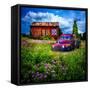 Summerfields-Artful Images-Framed Stretched Canvas