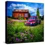 Summerfields-Artful Images-Stretched Canvas