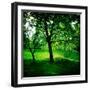 Summers Adventure-Craig Roberts-Framed Photographic Print