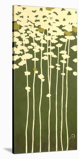 Summers Bounty II-Takashi Sakai-Stretched Canvas