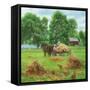 Summers Bounty-Kevin Dodds-Framed Stretched Canvas