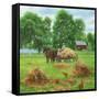 Summers Bounty-Kevin Dodds-Framed Stretched Canvas