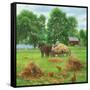 Summers Bounty-Kevin Dodds-Framed Stretched Canvas