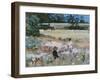 Summers Day: Ande, 1995-Gillian Furlong-Framed Giclee Print