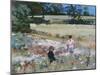 Summers Day: Ande, 1995-Gillian Furlong-Mounted Giclee Print